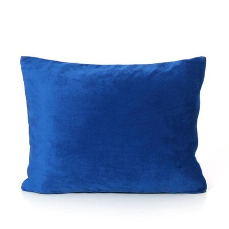 He-Man My First Mattress PL-MFPYB-06 Memory Foam Youth Pillow with Free Pillow Case; Blue PL-MFPYB-06C
